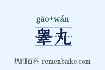 睾丸是什么意思的图片